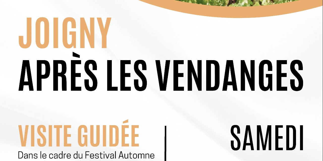 Joigny après les vendanges : une balade au cœur des vignes !