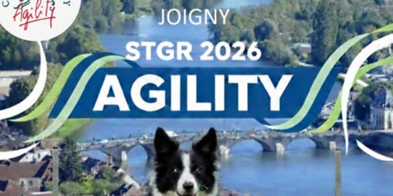 Concours agility
