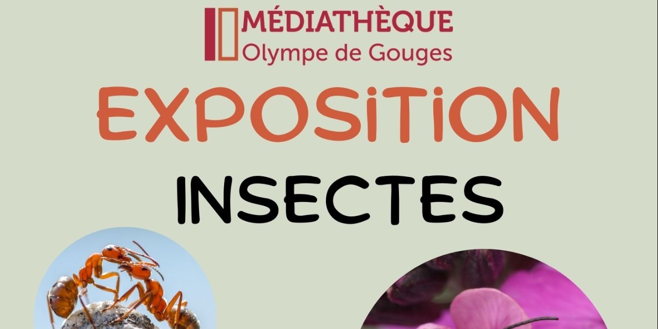 Médiathèque Olympes de Gouges