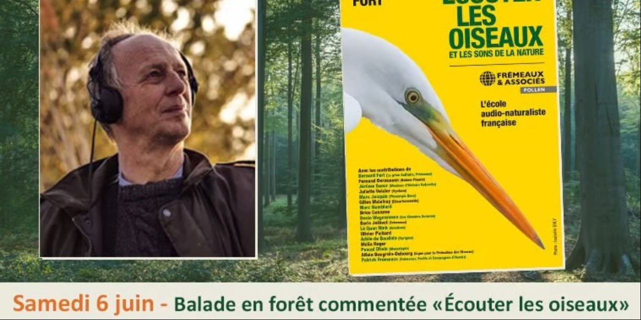 "ÉCOUTER LES OISEAUX" - BALADE EN FORET COMMENTÉE"