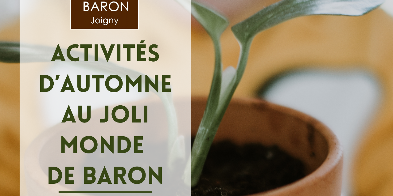Les activités d’automne arrivent au Joli Monde de Baron !