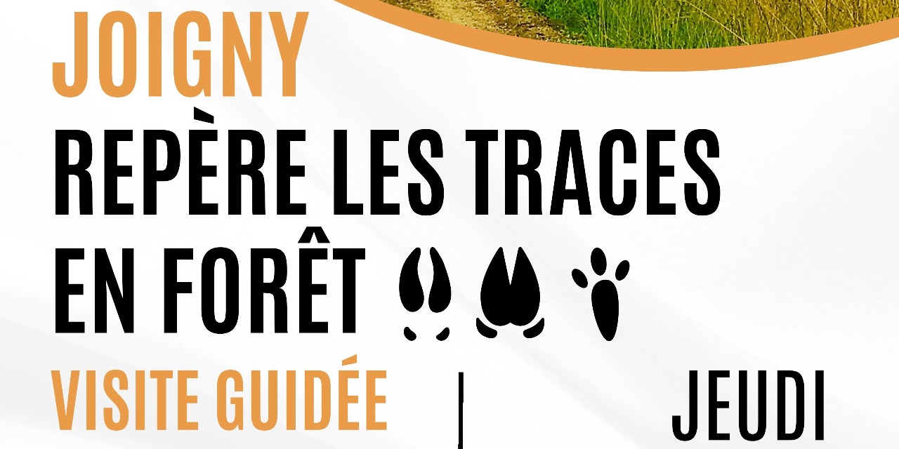 JEU EN FAMILLE : "REPÈRE LES TRACES EN FORET"