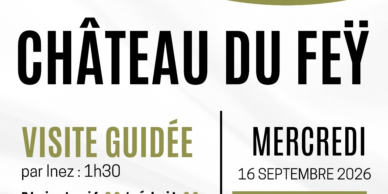 VISITE DU CHATEAU DU FEŸ