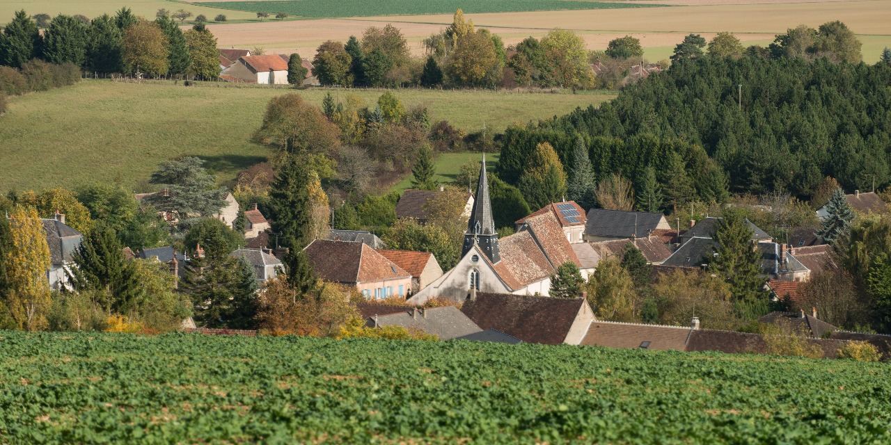 Marché de La Celle-Saint-Cyr